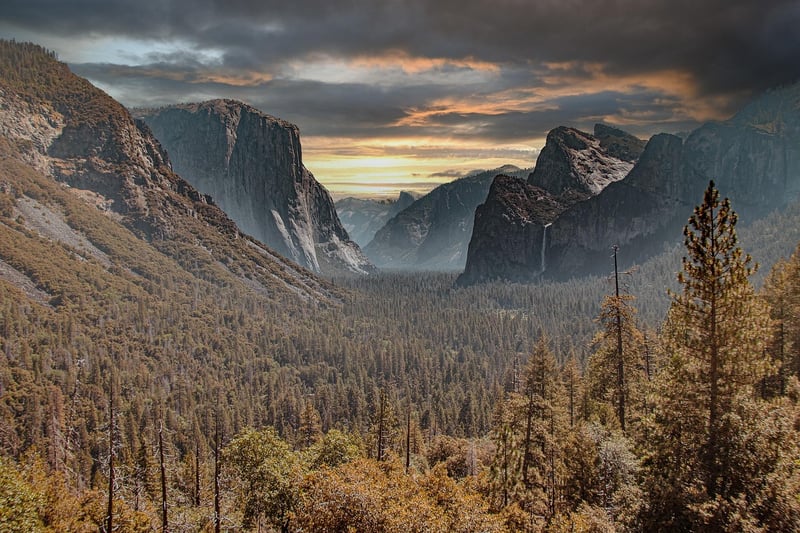 National Forest